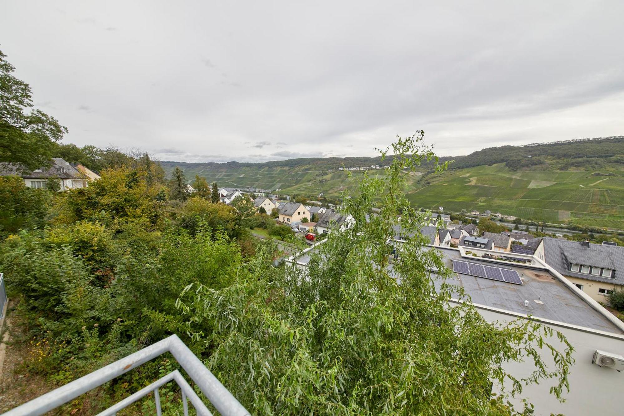 Mosel Panorama Apartment